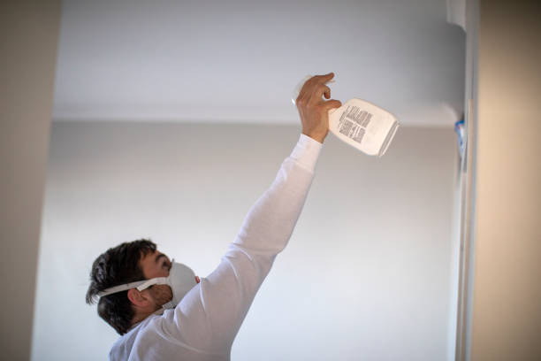 Best Mold Damage Repair  in Bolivar, WV