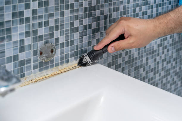 Mold Testing and Removal in Bolivar, WV